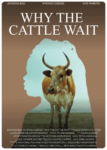 Why the Cattle Wait (Shorts)